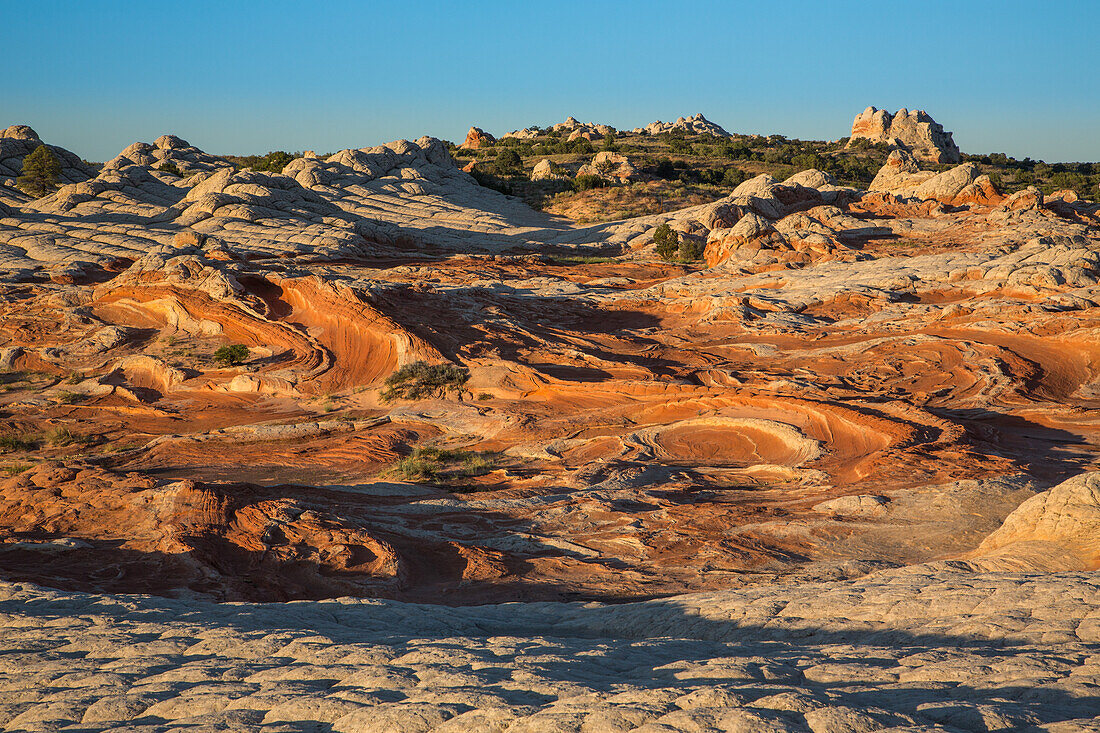 Erstes Licht in der verzerrten Landschaft der White Pocket Recreation Area, Vermilion Cliffs National Monument, Arizona