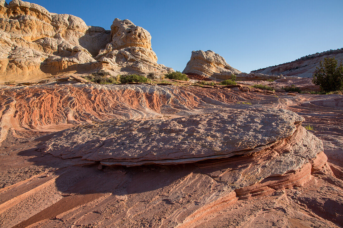 Erodierte Navajo-Sandsteinformationen in der White Pocket Recreation Area, Vermilion Cliffs National Monument, Arizona