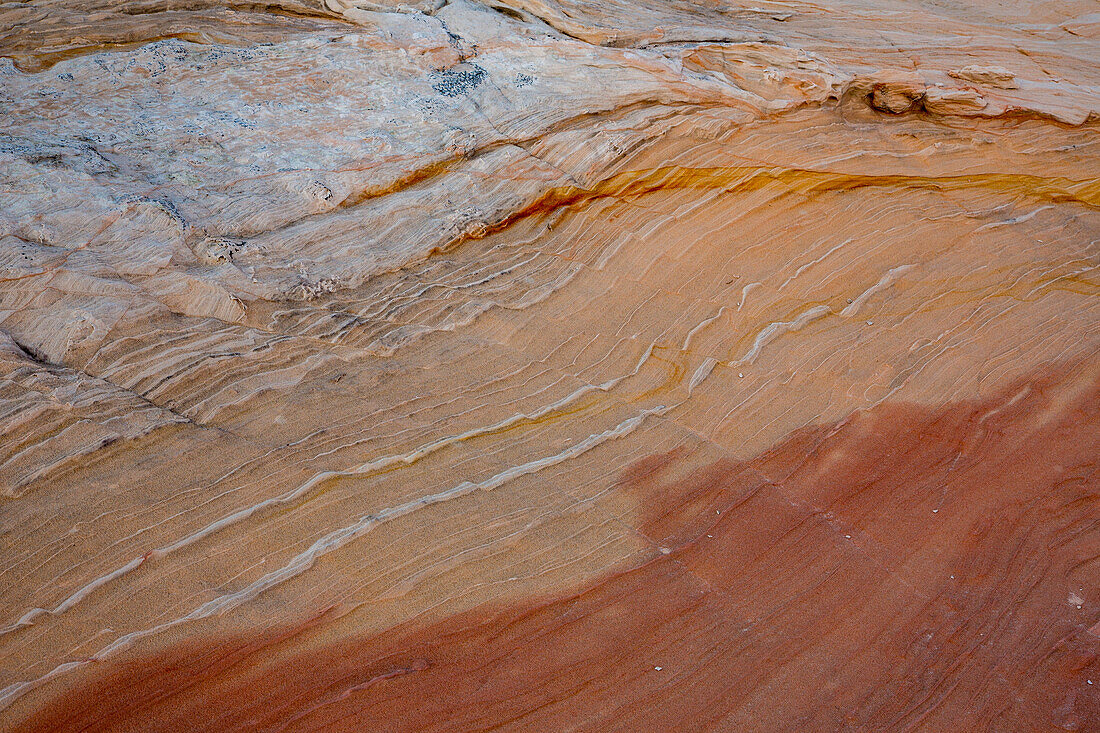 Eroded Navajo sandstone formations in the White Pocket Recreation Area, Vermilion Cliffs National Monument, Arizona. Small laterally displaced faults are evident in the stripes.