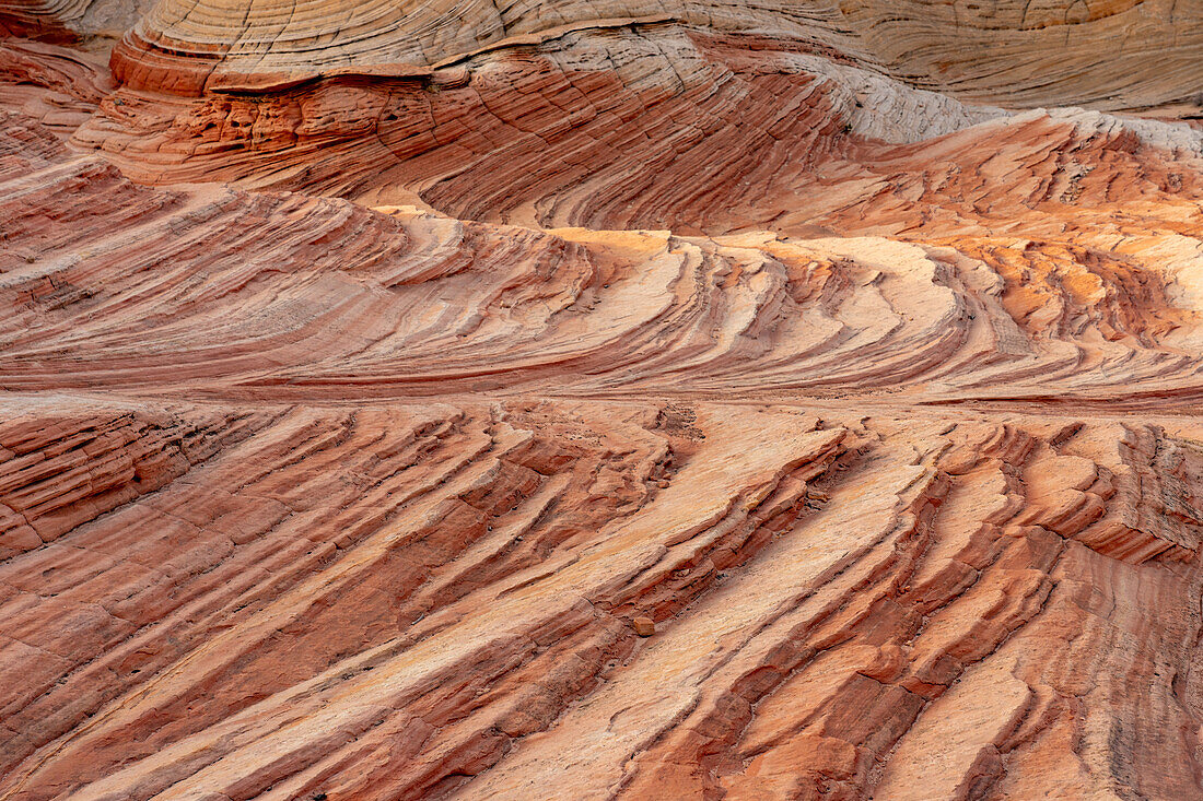 Red-striped Navajo sandstone in the White Pocket Recreation Area, Vermilion Cliffs National Monument, Arizona.