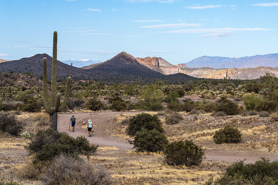 Hikers on a hiking trail in the Lost Dutchman State Park, Apache Junction, Arizona.