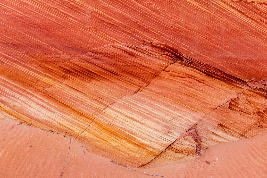 Colorful patterns in the Navajo sandstone in South Coyote Buttes, Vermilion Cliffs National Monument, Arizona.