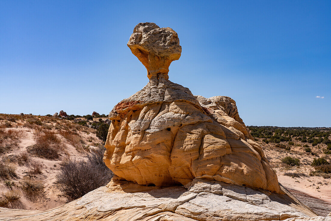 A sandstone hoodoo rock formation in the White Pocket Recreation Area, Vermilion Cliffs National Monument, Arizona.