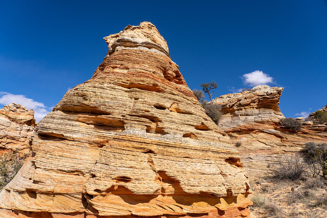 Erodierte Navajo-Sandsteinformationen in der Nähe von South Coyote Buttes, Vermilion Cliffs National Monument, Arizona