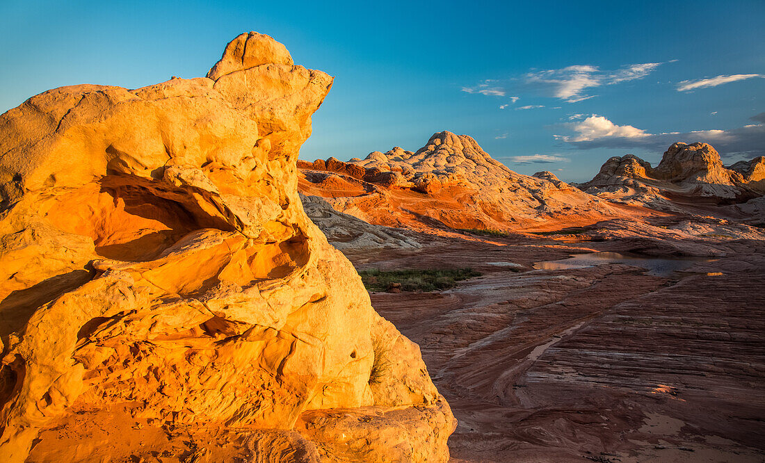 Farbenfroher erodierter Navajo-Sandstein bei Sonnenuntergang in der White Pocket Recreation Area, Vermilion Cliffs National Monument, Arizona