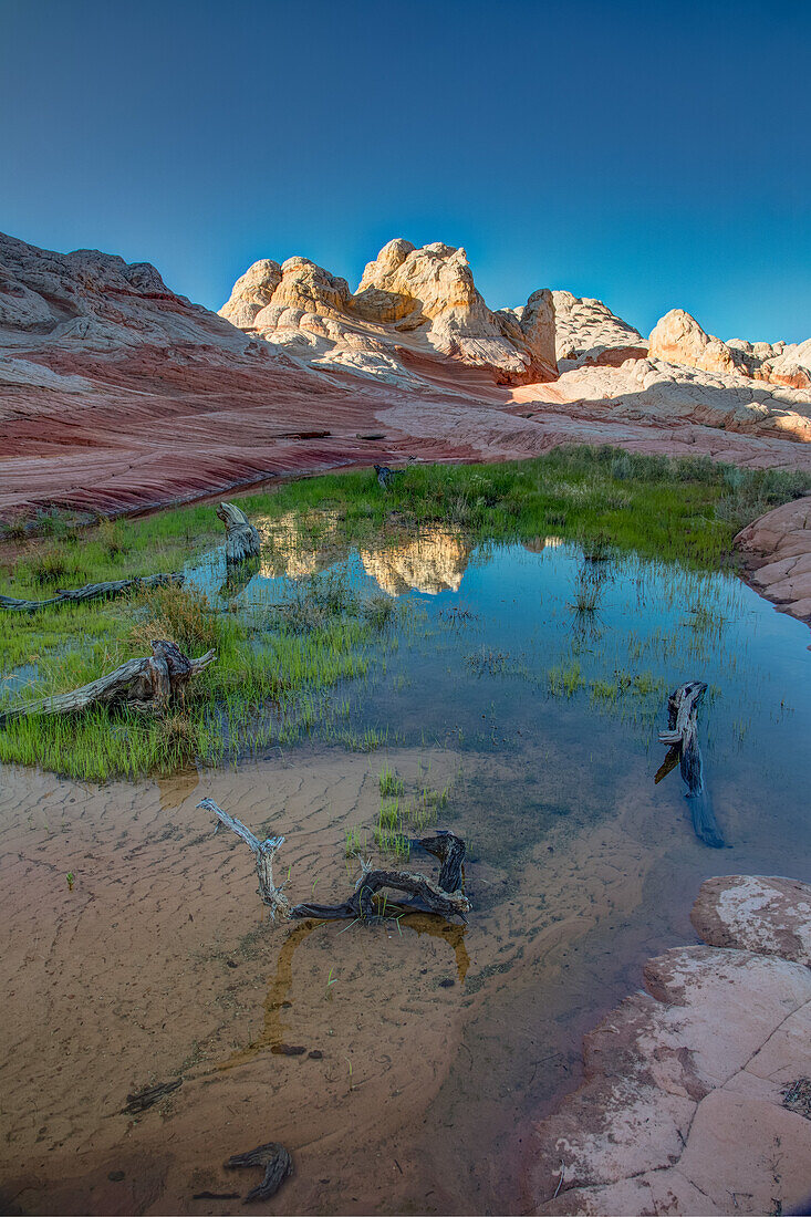 The Citadel reflected in an ephemeral pool in the White Pocket Recreation Area, Vermilion Cliffs National Monument, Arizona.