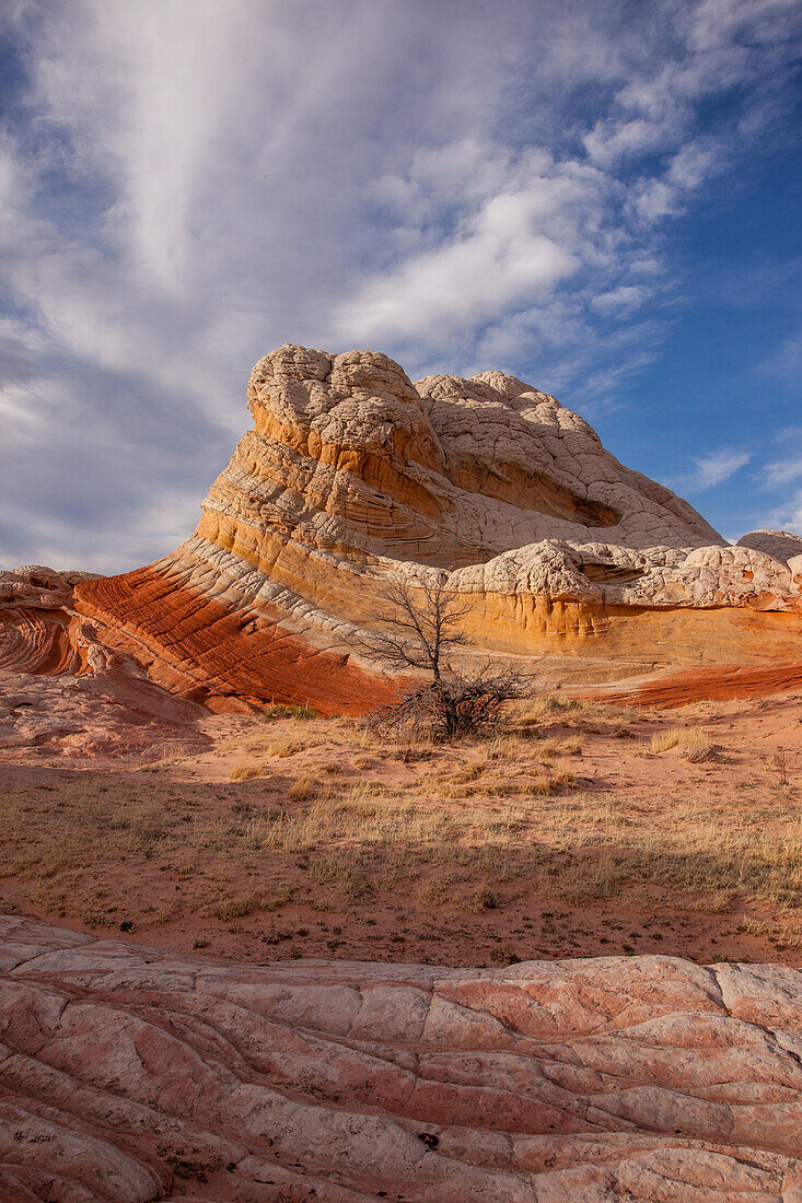 Lollipop Rock, a sandstone formation in the White Pocket Recreation Area, Vermilion Cliffs National Monument, Arizona.