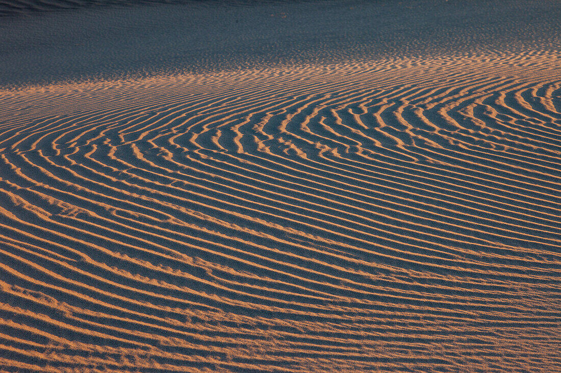 Wellenmuster in den Sanddünen von Mesquite Flat in der Nähe von Stovepipe Wells in der Mojave-Wüste im Death Valley National Park, Kalifornien