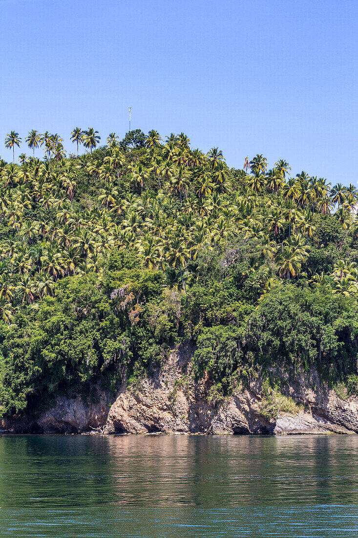 Kalksteinfelsen und Palmenhaine an der Küste der Bucht von Samana in der Dominikanischen Republik