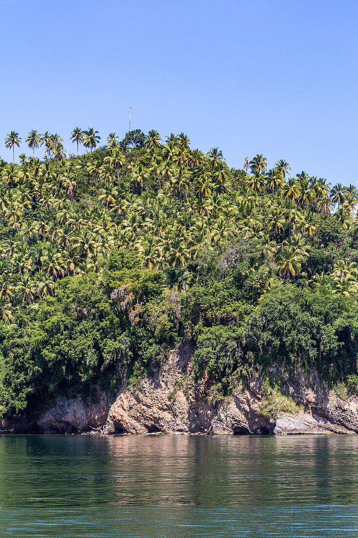 Limestone cliffs & palm groves on the shore of the Bay of Samana in the Dominican Republic.