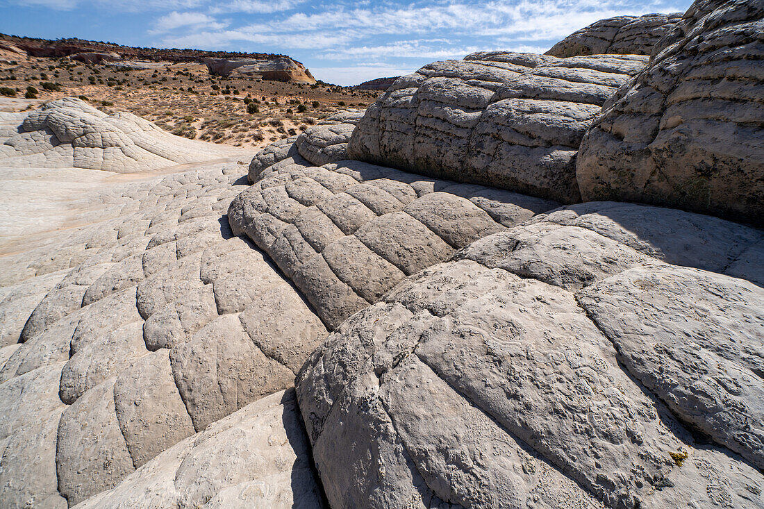 White pillow rock or brain rock sandstone in the White Pocket Recreation Area, Vermilion Cliffs National Monument, Arizona. A form of Navajo sandstone.