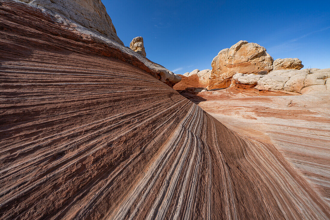 Erodierter Navajo-Sandstein in der White Pocket Recreation Area, Vermilion Cliffs National Monument, Arizona. Das Bild zeigt ein gutes Beispiel für die Querschichtung in den Sandsteinschichten.