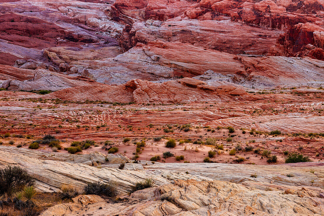 Cross-bedding patterns in the eroded Aztec sandstone of Valley of Fire State Park in Nevada.