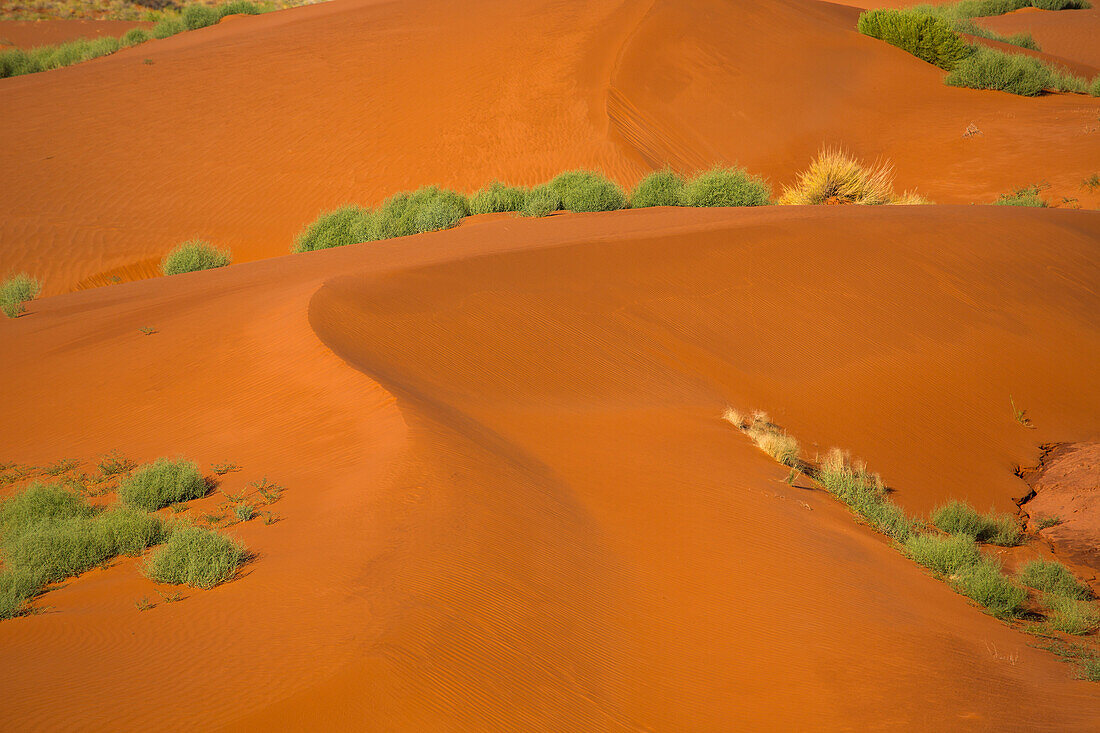 Rote Sanddünen im Monument Valley Navajo Tribal Park in Arizona