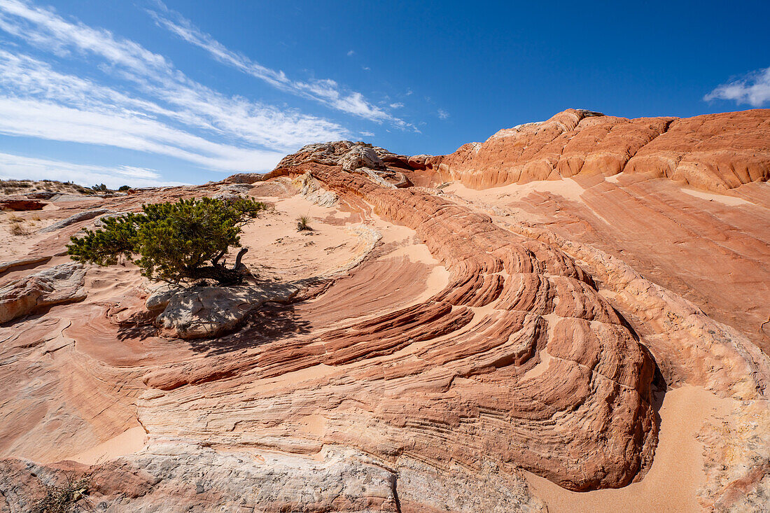 Erodierte Navajo-Sandsteinformationen in der White Pocket Recreation Area, Vermilion Cliffs National Monument, Arizona