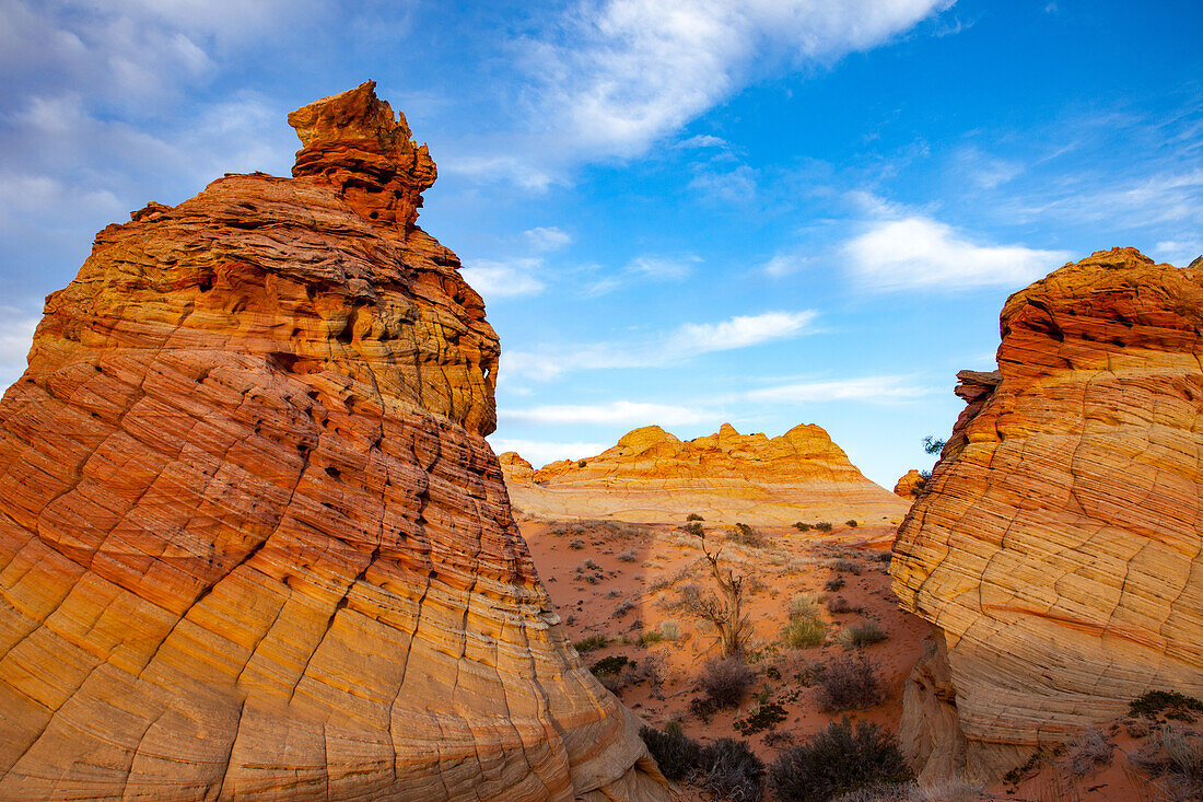 Spätnachmittagslicht auf erodierten Navajo-Sandsteinformationen in South Coyote Buttes, Vermilion Cliffs National Monument, Arizona