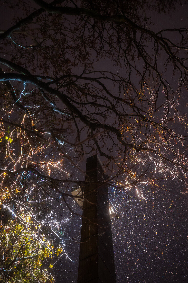 Zaragoza blanketed in snow by storm Juan