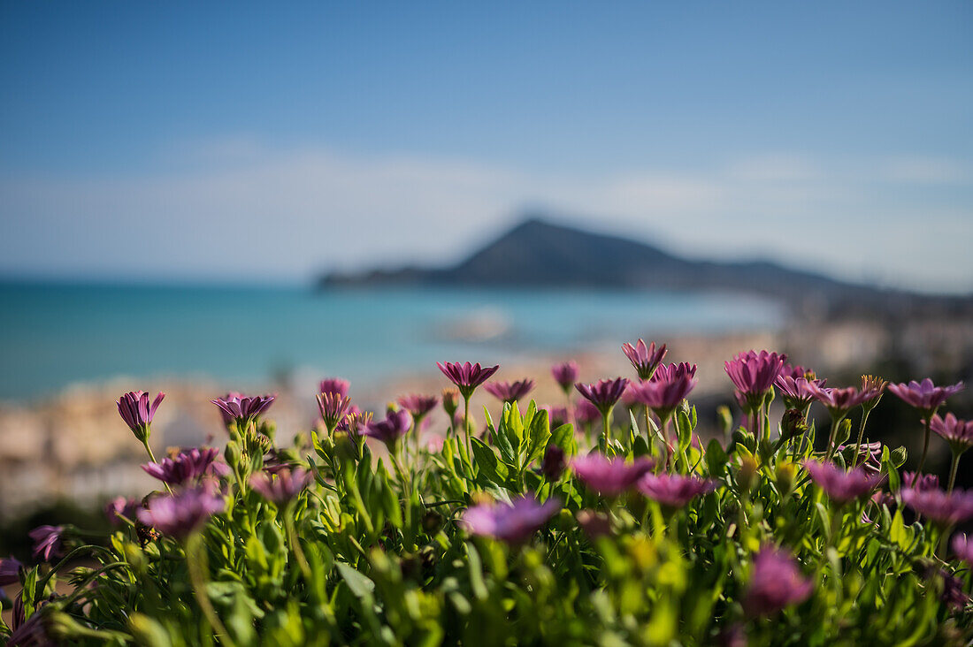 Beautiful view of Altea, Alicante Spain