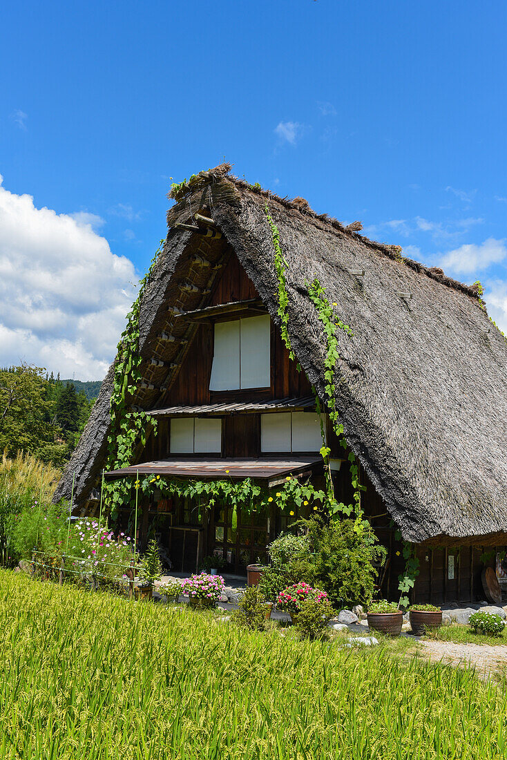 Shirakawa-go, traditionelles Dorf, das einen als gassho-zukuri bekannten Baustil zeigt, Präfektur Gifu, Japan