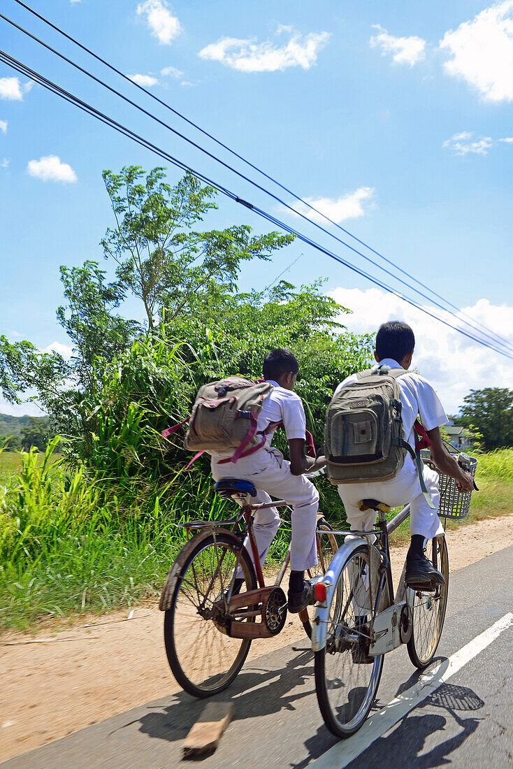 Two students riding their bicycles on the road, Sri Lanka