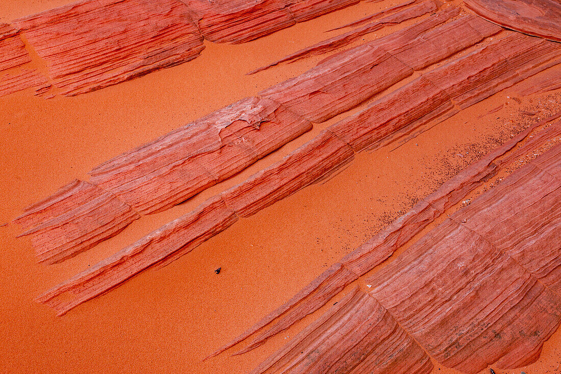 Farbenfrohe Muster im Navajo-Sandstein in South Coyote Buttes, Vermilion Cliffs National Monument, Arizona