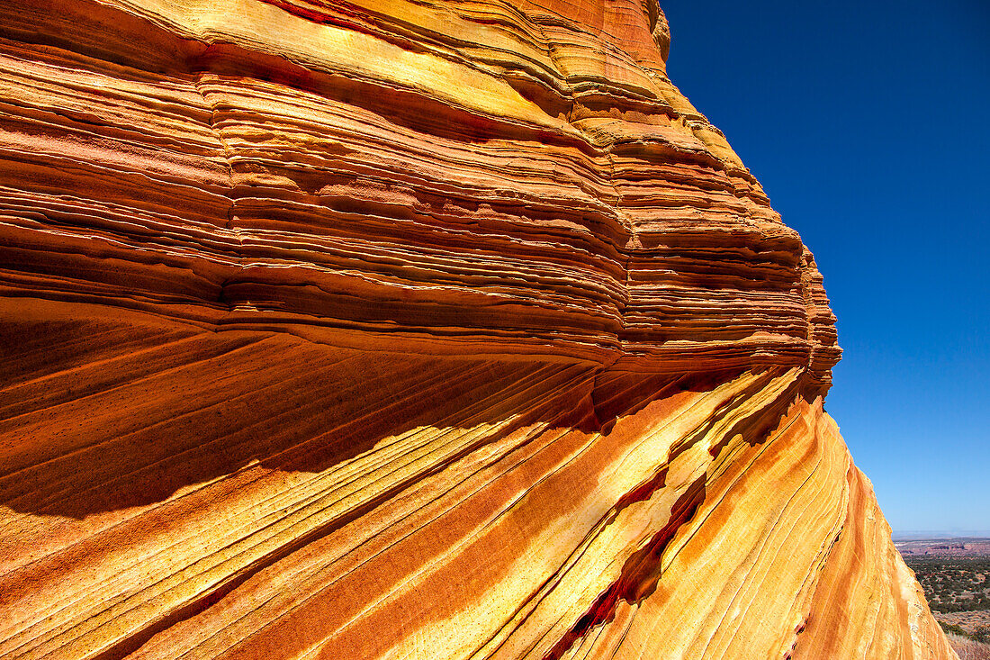 Fragile sandstone fins & cross-bedding in Navajo sandstone formations. South Coyote Buttes, Vermilion Cliffs National Monument, Arizona.