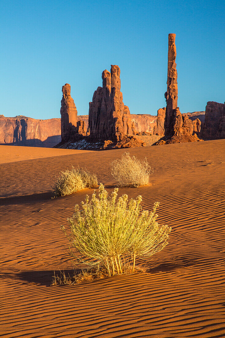 The Totem Pole & Yei Bi Chei with rippled sand in the Monument Valley Navajo Tribal Park in Arizona. In the foreground are broom snakeweed plants.