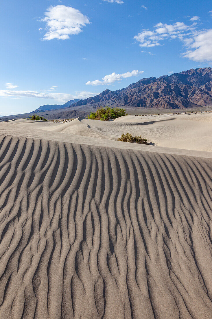 Wellen in den Sanddünen von Mesquite Flat im Death Valley National Park in der Mojave-Wüste, Kalifornien. Dahinter die Panamint Mountains