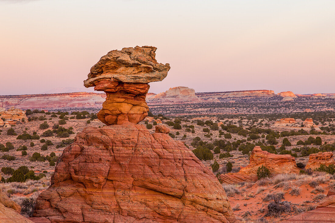 Eroded Navajo sandstone formations in South Coyote Buttes, Vermilion Cliffs National Monument, Arizona.