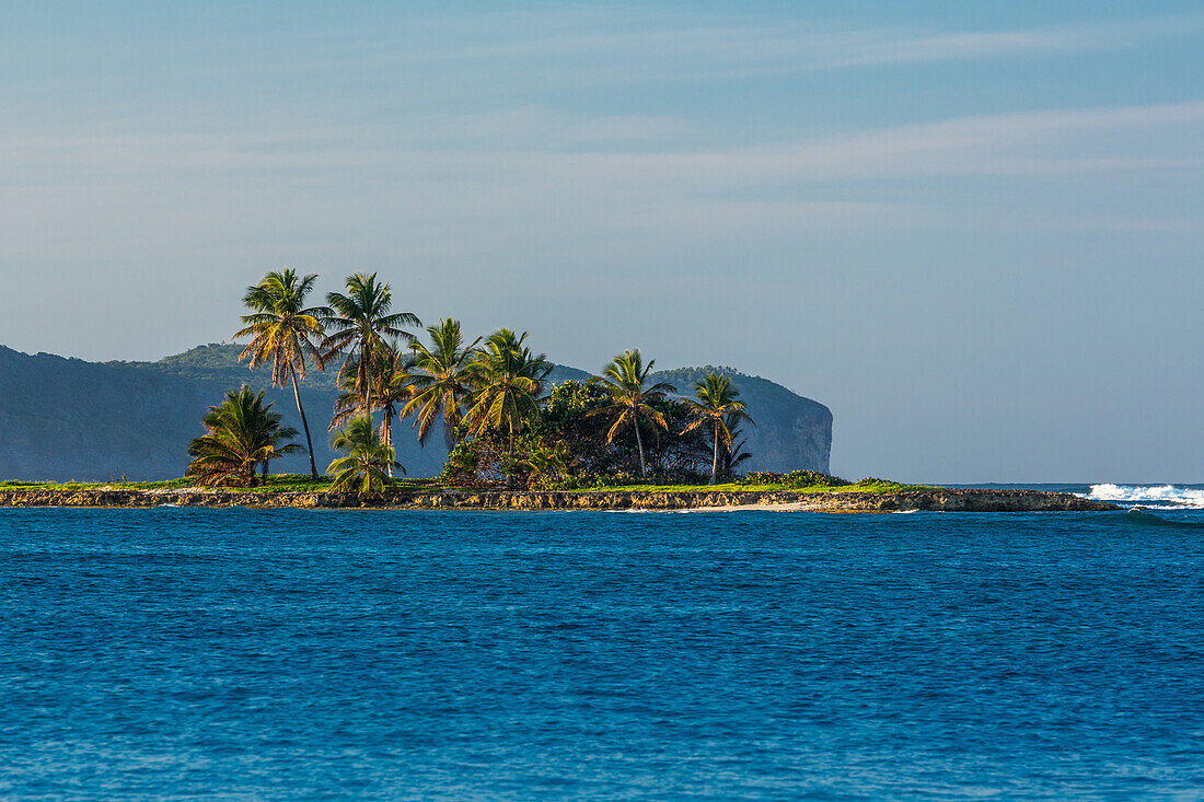 Kokosnusspalmen auf einer kleinen Insel in der Bahia de Las Galeras auf der Halbinsel Samana, Dominikanische Republik