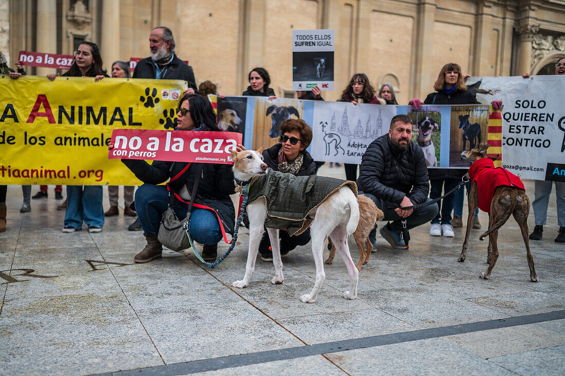 Tausende von Menschen demonstrieren in Spanien, um ein Ende der Jagd mit Hunden zu fordern, Zaragoza, Spanien