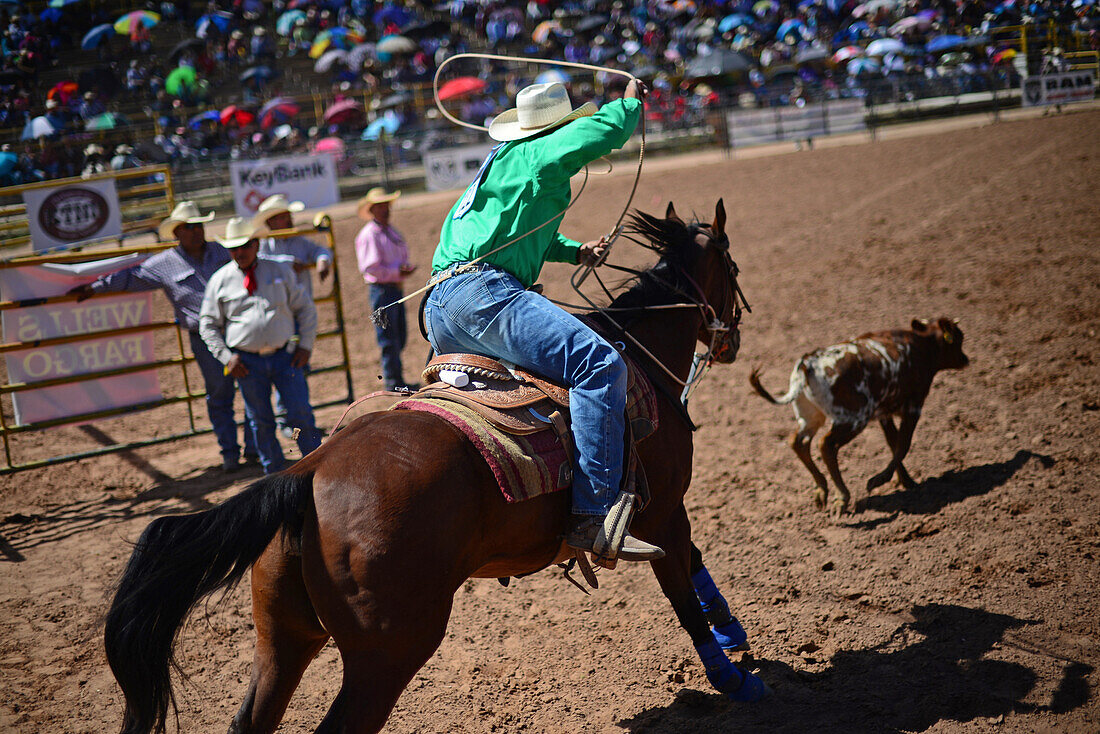Rodeo competition during Navajo Nation Fair, a world-renowned event that showcases Navajo Agriculture, Fine Arts and Crafts, with the promotion and preservation of the Navajo heritage by providing cultural entertainment. Window Rock, Arizona.