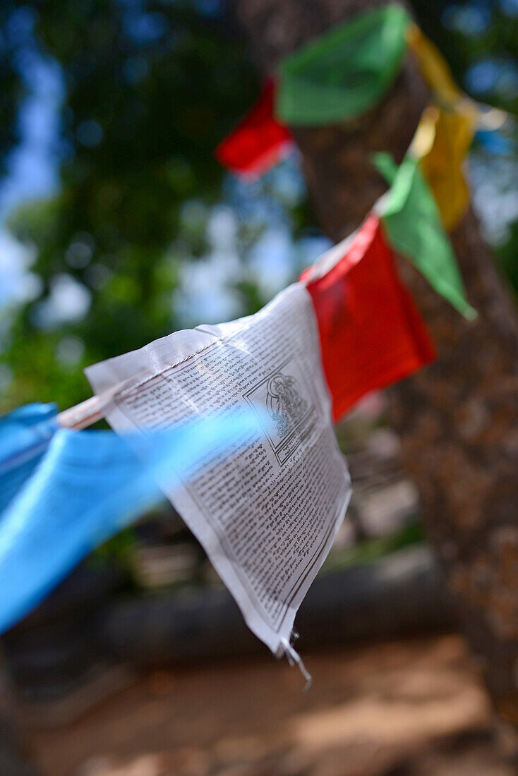 Buddhistische Gebetsfahnen vor dem Abhayagiri-Kloster in Anuradhapura, Sri Lanka