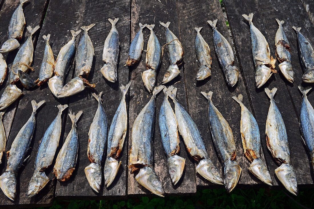 Dried fish street shop in Weligama, Sri Lanka