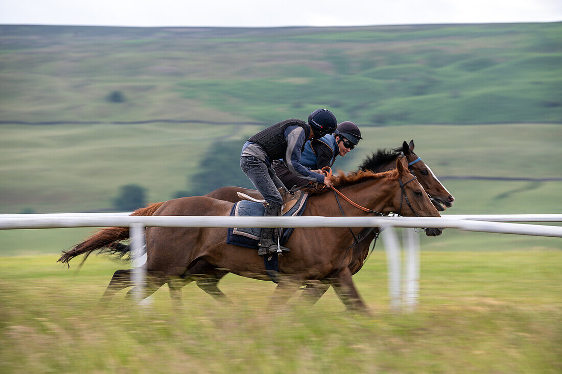 Rennpferdetraining in Middleham Gallops in England 2023