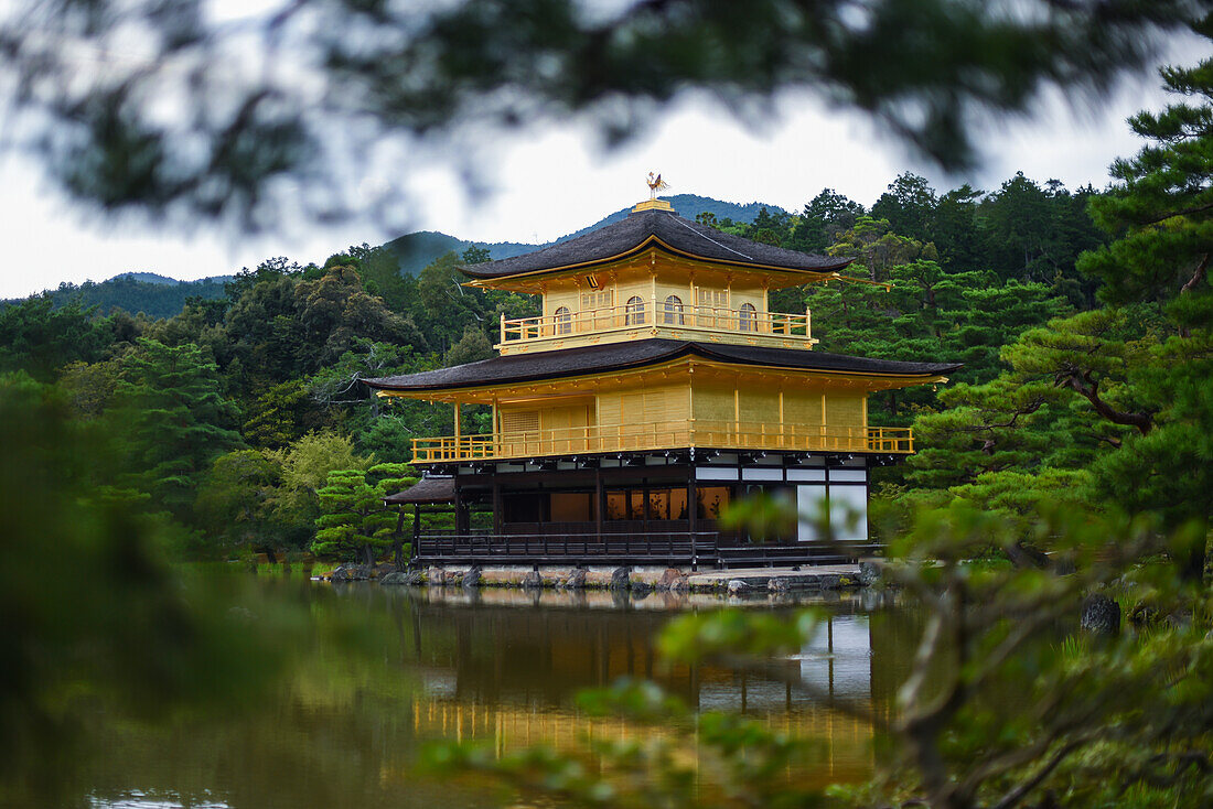 Der Kinkaku-ji, offiziell Rokuon-ji genannt, ist ein buddhistischer Zen-Tempel in Kyoto, Japan