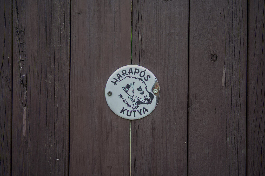 Schild auf Ungarisch mit der Aufschrift Wilder Hund" in Szentendre, Ungarn"