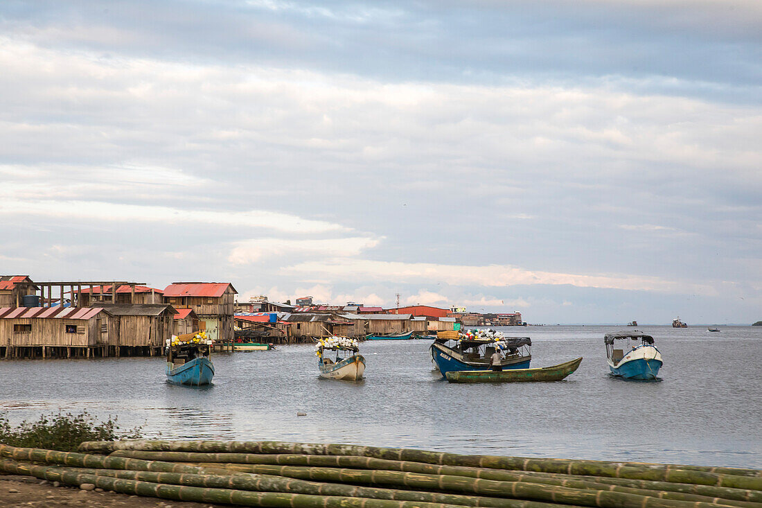 One of the regions most affected by armed conflict and violence generated by drug trafficking, criminal gangs, and insurgent groups is the South Colombian Pacific. And one of the most representative municipalities in this region is the port of San Andrés de Tumaco.