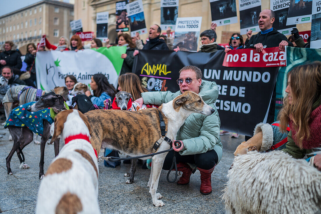 Tausende von Menschen demonstrieren in Spanien, um ein Ende der Jagd mit Hunden zu fordern, Zaragoza, Spanien