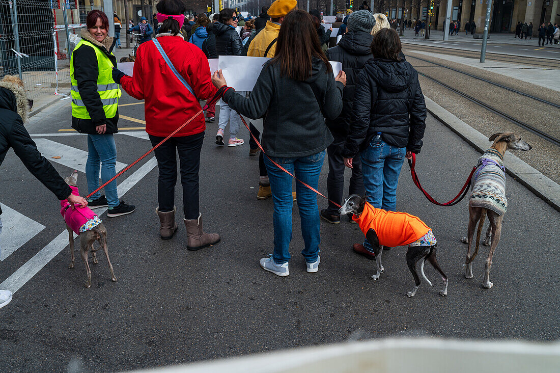 Thousands of people demonstrate in Spain to demand an end to hunting with dogs, Zaragoza, Spain