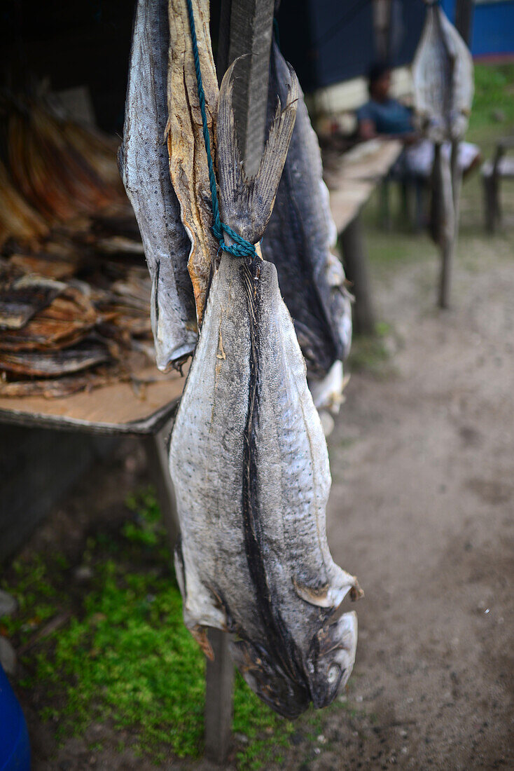 Stand mit getrocknetem Fisch in Peraliya, Sri Lanka