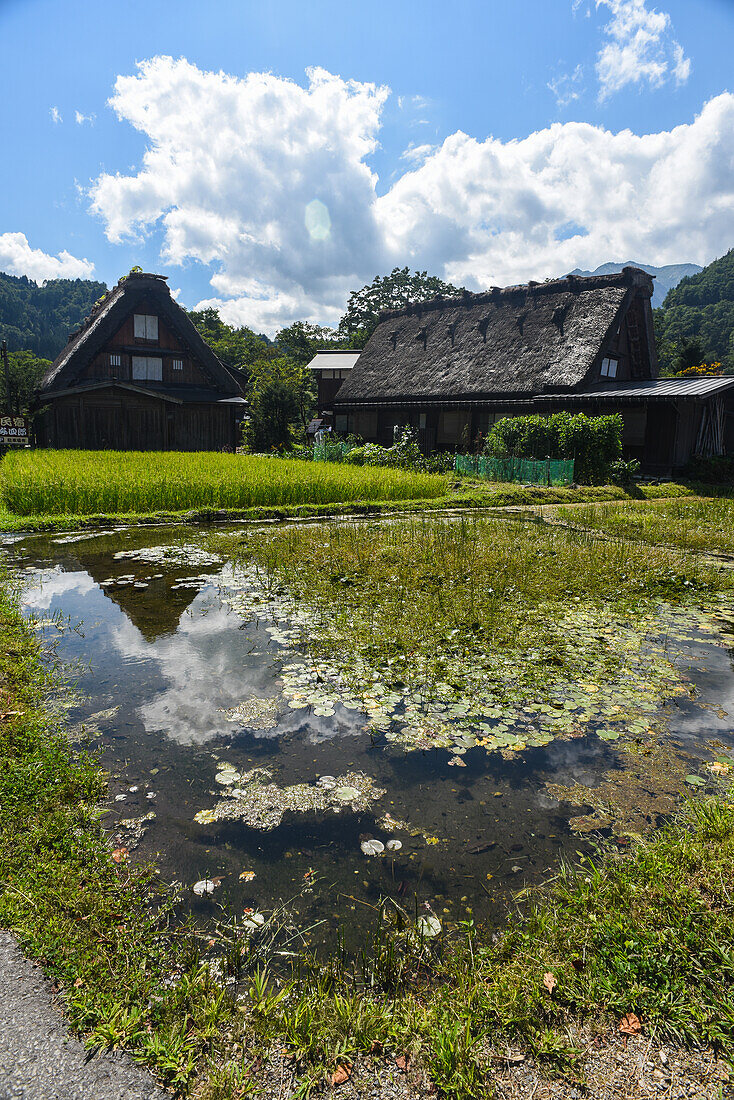 Shirakawa-go, traditional village showcasing a building style known as gassho-zukuri, Gifu Prefecture, Japan