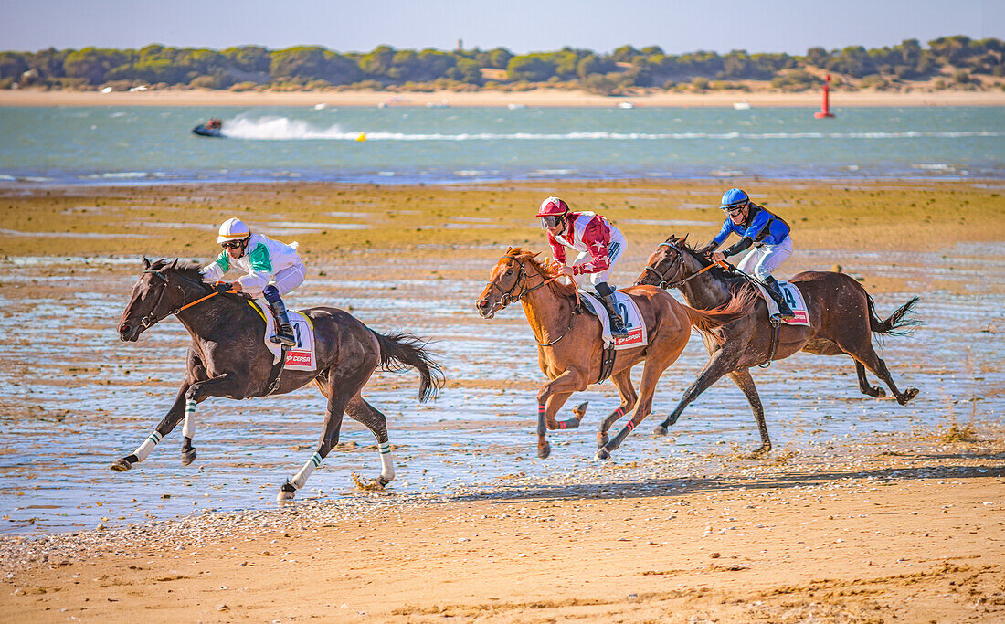 Horse race on the beach, Sanlucar de Barrameda, Spain.