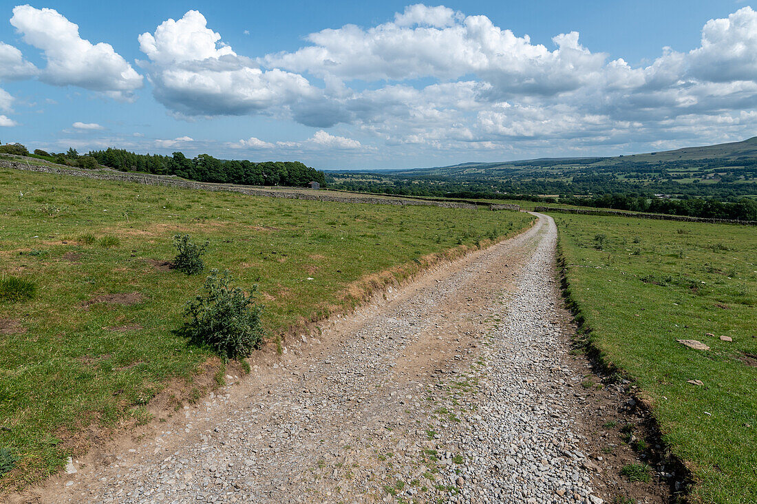 Narrow road in countryside in England