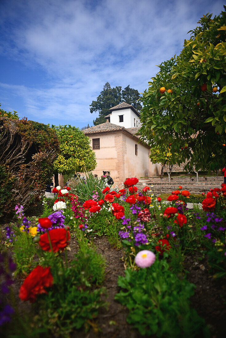 Die Gärten des Generalife in der Alhambra, einer Palast- und Festungsanlage in Granada, Andalusien, Spanien