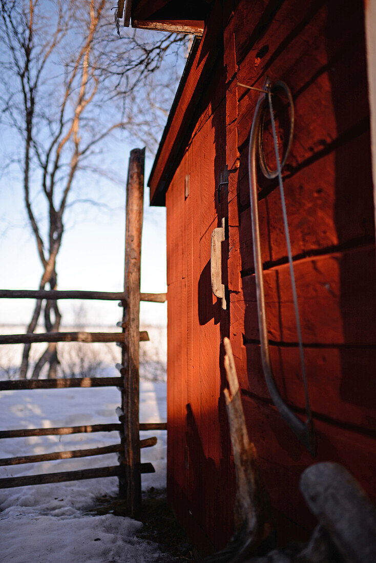 In the Reindeer farm of Tuula Airamo, a S?mi descendant, by Muttus Lake. Inari, Lapland, Finland