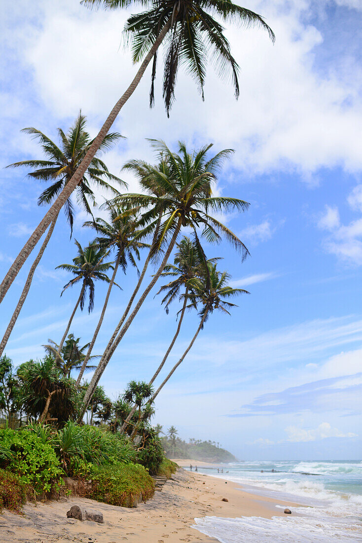Beautiful beach in Midigama, Sri Lanka