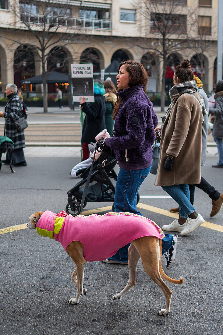 Thousands of people demonstrate in Spain to demand an end to hunting with dogs, Zaragoza, Spain