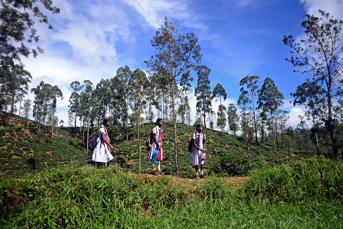 Drei Schulmädchen betrachten den vorbeifahrenden Zug. Fahrt von Kandy nach Nuwara Eliya, Sri Lanka