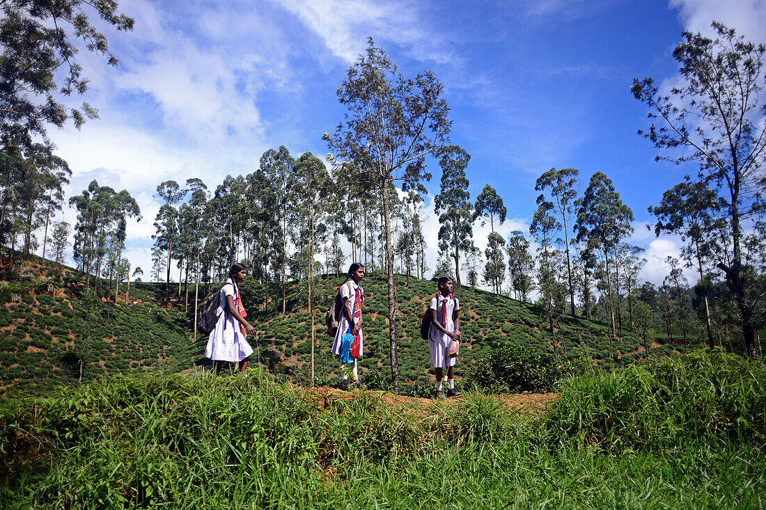 Three school girls looking at passing train. Ride from Kandy to Nuwara Eliya, Sri Lanka